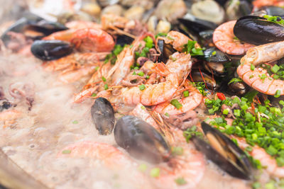 High angle view of fish in container