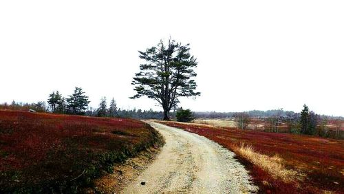 Road passing through field