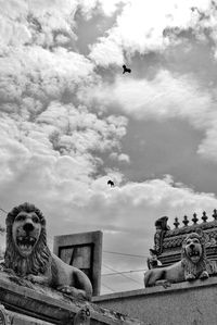 Low angle view of birds flying against sky