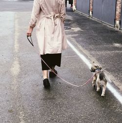 Low section of woman with dog walking on street