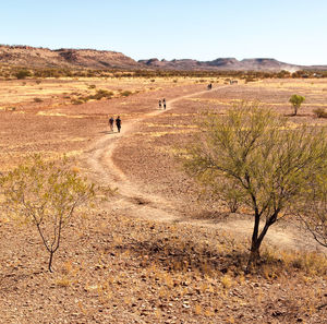 Scenic view of field against clear sky