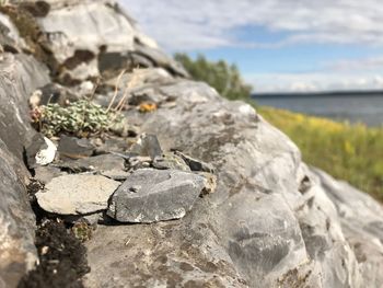 Close-up of rocks by river
