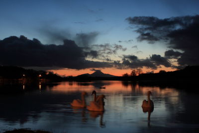 Silhouette people on lake against sky during sunset