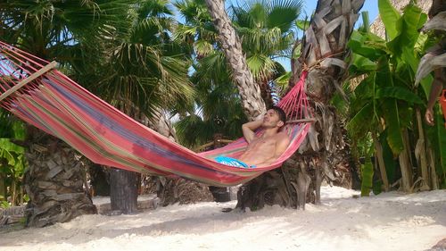 Low section of woman relaxing on hammock