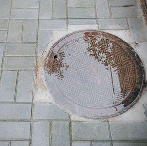 Close-up high angle view of paving stone