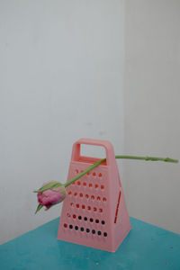 Close-up of tulip on a pink grater against wall