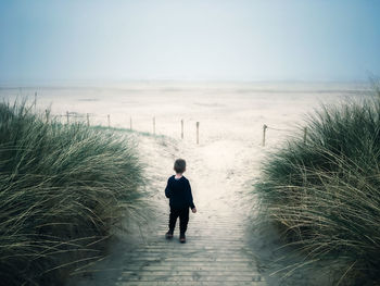 Rear view of man looking at sea against sky