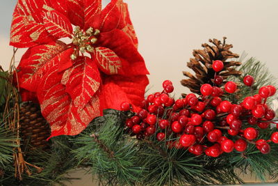 Close-up of red berries on tree