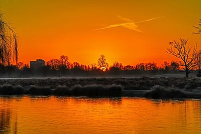 Scenic view of trees against orange sky