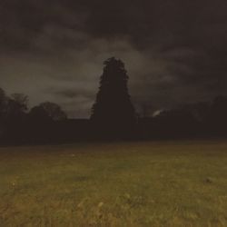 Silhouette trees on field against sky at sunset