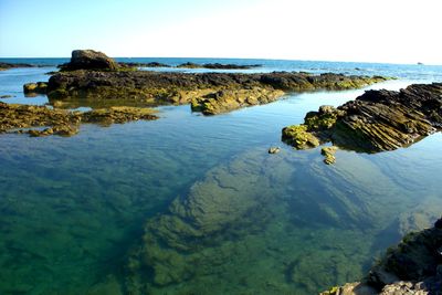 Scenic view of sea against blue sky