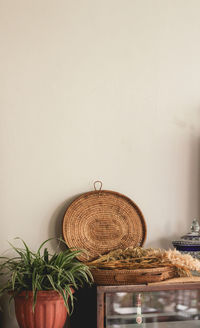 Rustic interior with spider plant