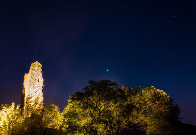 Low angle view of trees against sky at night
