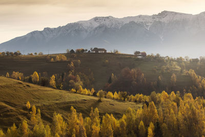 Scenic view of field against mountains