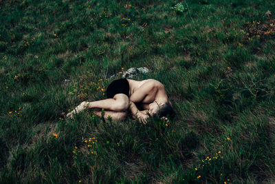 High angle view of woman lying on grassy field