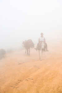 fog