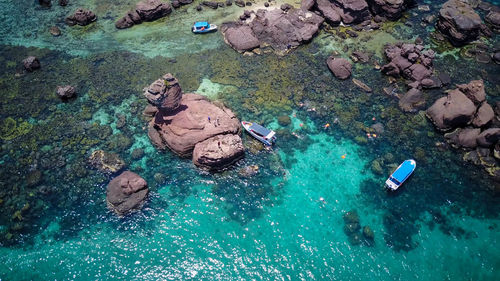 High angle view of people swimming in sea