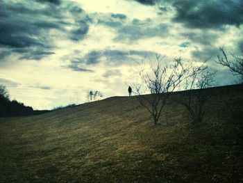 Trees on field against cloudy sky