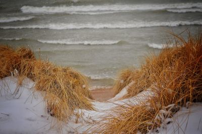 Scenic view of sea shore during winter