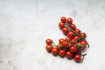 High angle view of tomatoes against white background