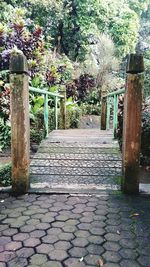 Walkway amidst trees