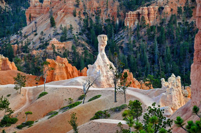 Bryce canyon in the summertime