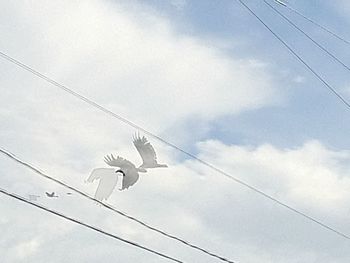 Low angle view of power lines against sky