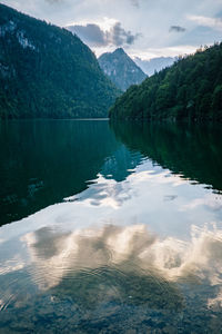 Scenic view of lake in forest against sky