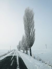 Bare tree on snow covered field against sky