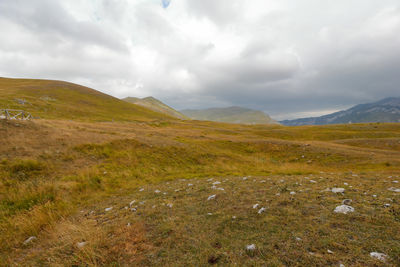 Scenic view of landscape against sky