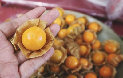 Close-up of hand holding orange