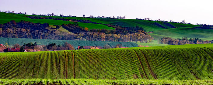 Scenic view of farm against sky