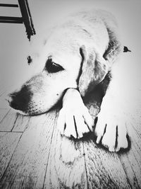 Close-up of painting on wall