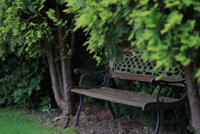 Close-up of seat against trees