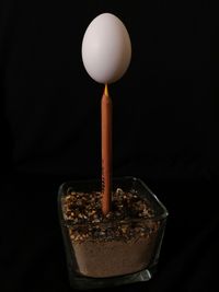 Close-up of food on table against black background