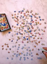 High angle view of flowers on table