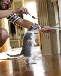 Woman holding cat at home