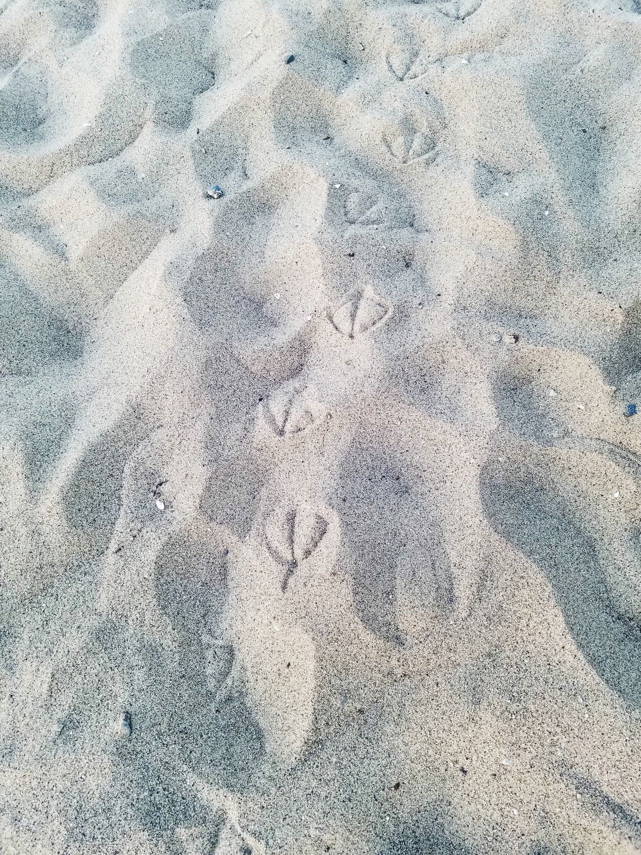 Footprints