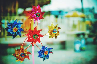 Close-up of flowers against blurred background