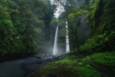 Scenic view of waterfall in forest