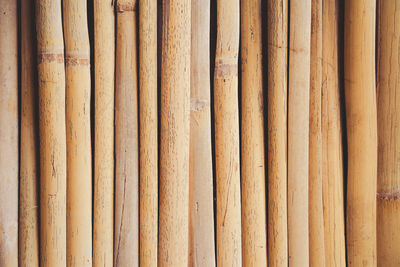 Full frame shot of bamboo fence