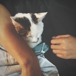 Midsection of person holding cat