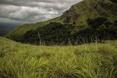 Scenic view of grassy field against cloudy sky