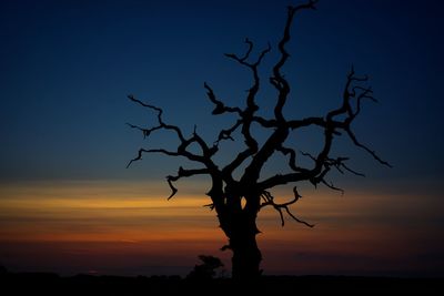 Low angle view of silhouette bare tree against sky during sunset