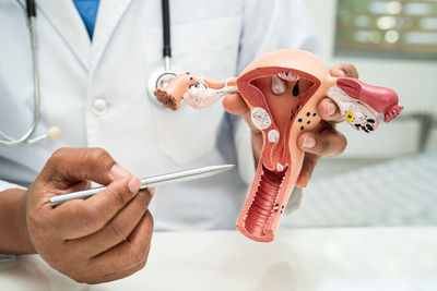 Midsection of doctor holding dentures