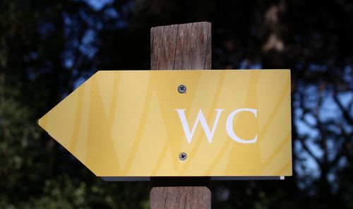 Directional signs against trees