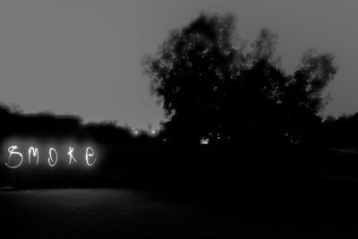 Road along trees at night