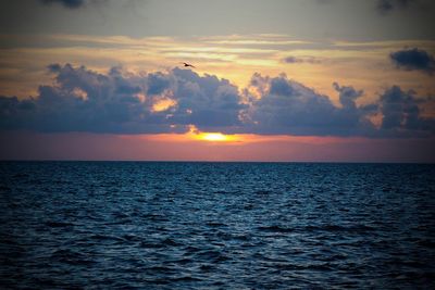 Scenic view of sea at sunset