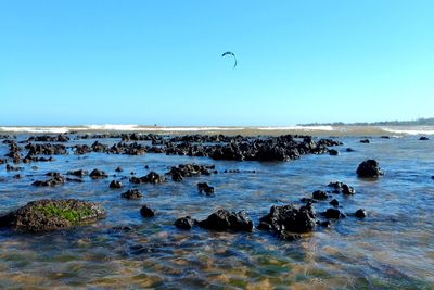 Scenic view of sea against clear blue sky