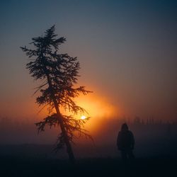 Silhouette tree on field against sky during sunset